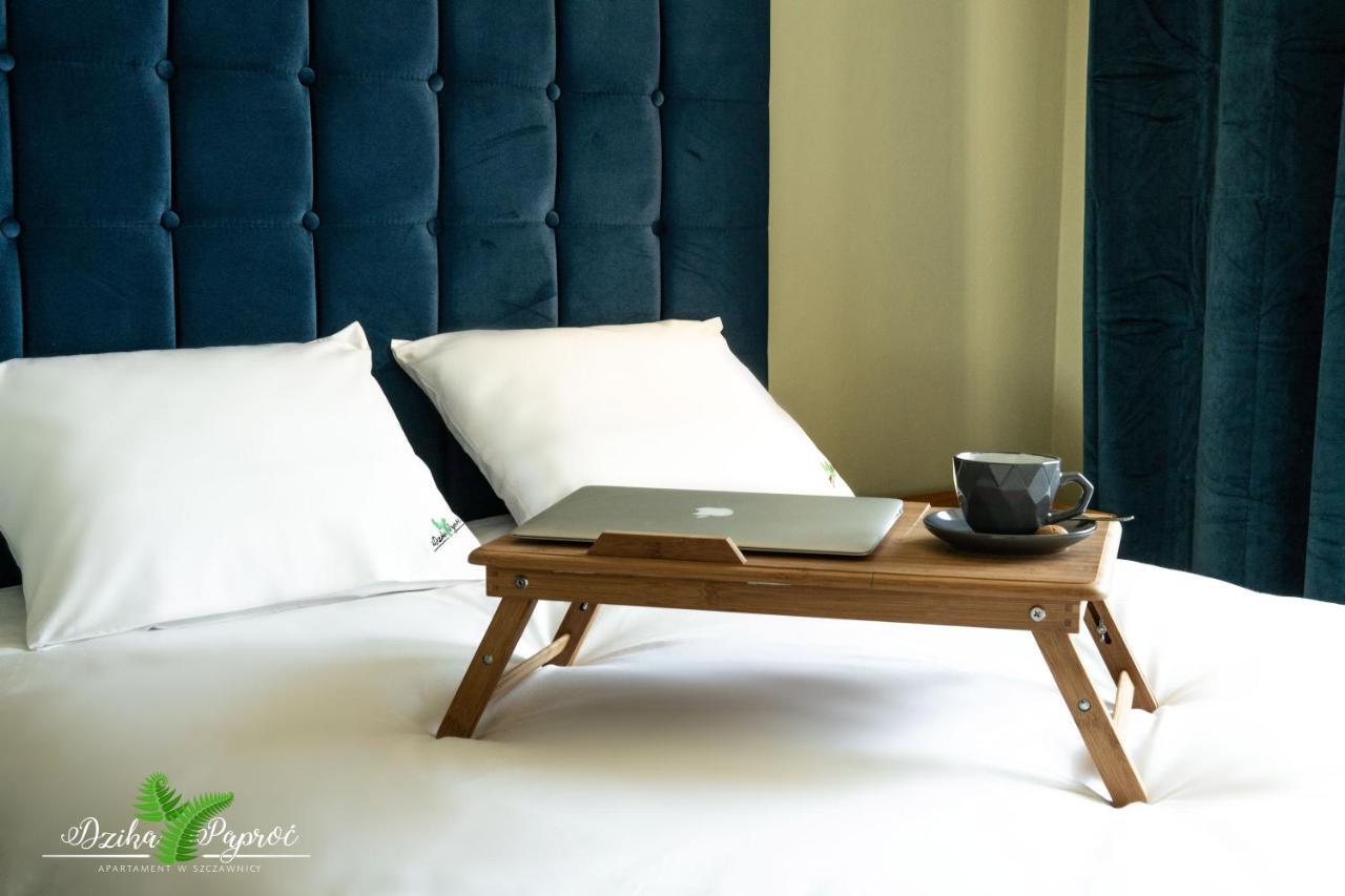 Apartament Dzika Paproc ชซาฟนีซา ภายนอก รูปภาพ