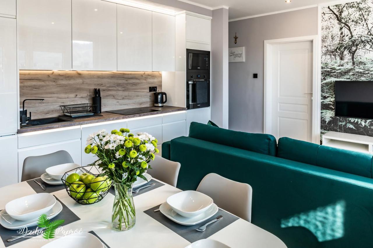 Apartament Dzika Paproc ชซาฟนีซา ภายนอก รูปภาพ
