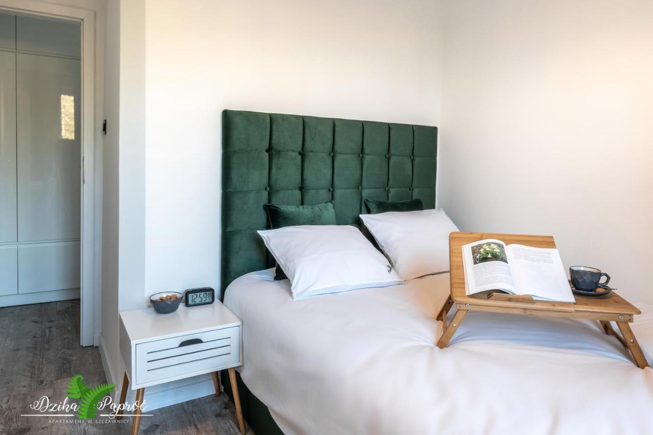 Apartament Dzika Paproc ชซาฟนีซา ภายนอก รูปภาพ